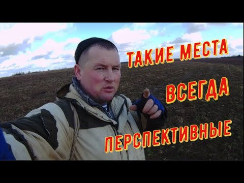 Видео: Оторвался вдоль ЖД. Что нельзя забирать с места КОПа. Много находок с выбитых мест. ПОИСК В РБ