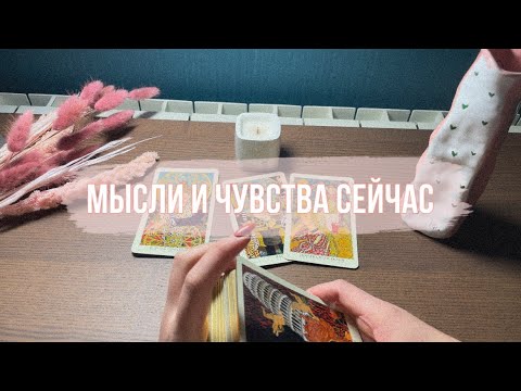 Видео: 4 КОРОЛЯ🌷/мысли, чувства, действия