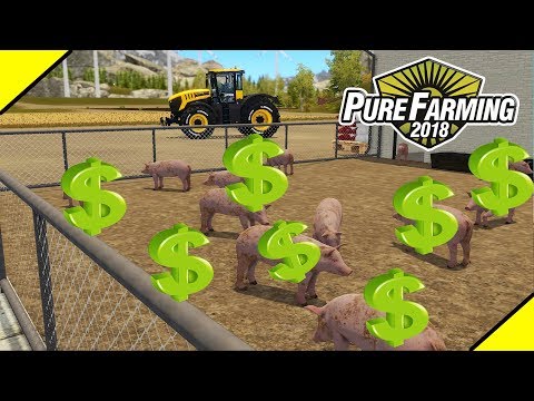 Видео: ОЧЕНЬ ЛЁГКИЕ ДЕНЬГИ НА ХРЯКАХ в Pure Farming 2018