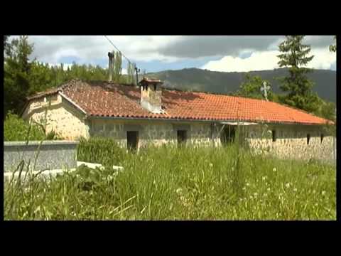 Видео: Луково Дримколско