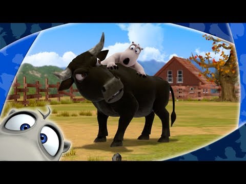 Видео: БЕРНАРД: Тореадор (HD)