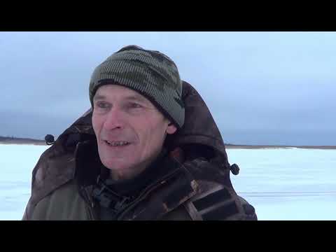 Видео: Рыбалка и охота на севере. Унская губа, навага.