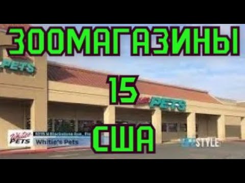 Видео: ЗООМАГАЗИНЫ США   "Whitie's Pets"   Другой  Мир. Заключи́тельный. Обзор зоомагазинa.