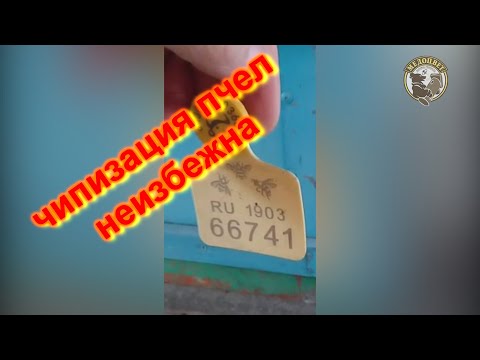 Видео: Чипизация пчел неизбежна Новая система учета пчел Хорриот Идентификация пчел