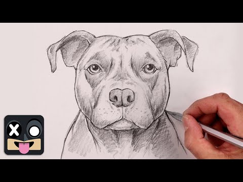 Видео: Как нарисовать питбультерьера | Урок по рисованию