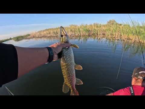 Видео: Нашли Логово Щук часть 2