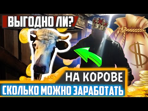 Видео: Не заводи корову❗ Пока не посмотришь это видео || 💥💲Сколько можно заработать на корове?