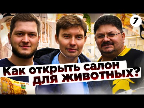 Видео: Как открыть салон для животных с нуля. Груминг салон. Бизнес с нуля