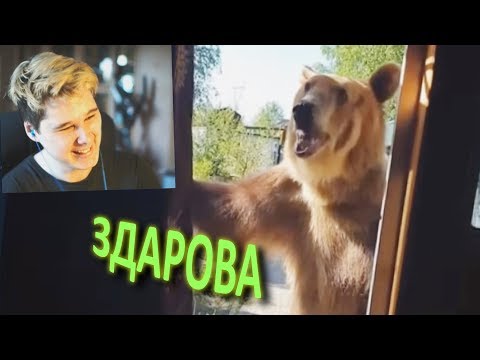 Видео: УЛЫБНУЛИСЬ ИЛИ ЗАСМЕЯЛИСЬ ПРОИГРАЛИ - ЛУЧШИЕ ПРИКОЛЫ ПОПРОБУЙ ЗАСМЕЯТЬСЯ ЧЕЛЛЕНДЖ ЗАСМЕЯЛСЯ ПРОИГРАЛ