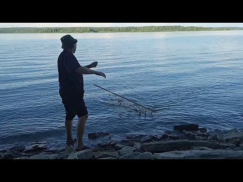 Видео: Рыбалка на экран. Ловля щеклеи (уклейки) на экран (телевизор) в июле 2021.