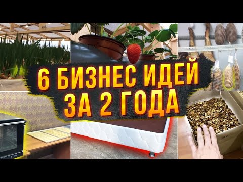 Видео: Видео которое набрало 1 500 000 просмотров! ТОП 6 бизнес идей