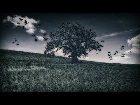 Видео: ВЯЗЪ - Языческий лес