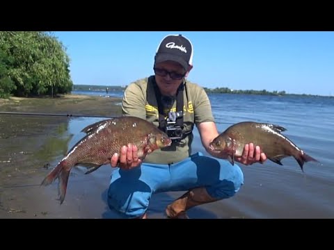 Видео: 🐳ФІДЕР🐳 РИБАЛКА🐳  ОСТАННІЙ МІСЯЦЬ ЛІТА  НА ДНІПРІ 01.08.2025🇺🇦