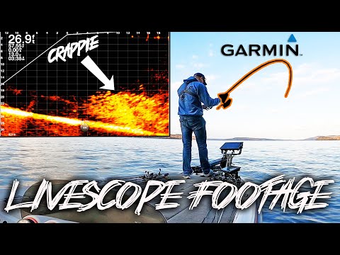 Видео: БЕЗУМНАЯ рыбалка на краппи с LIVESCOPE! Смотрите, как всё происходит! (Мегашкола)