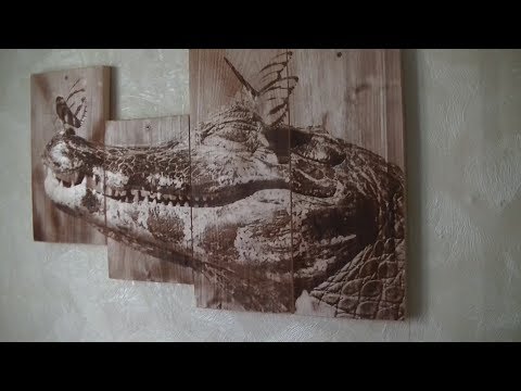 Видео: Как выжигать лазерным гравером фото любого размера.