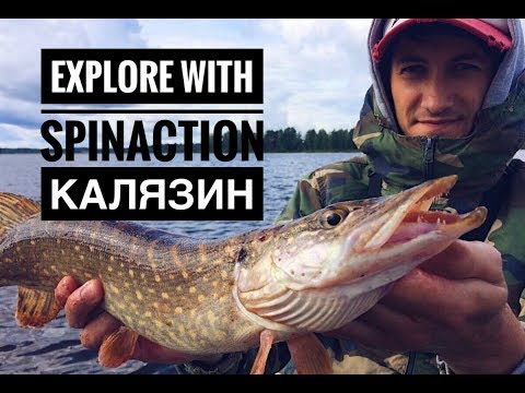 Видео: Калязин. Сложная рыбалка на Волге.