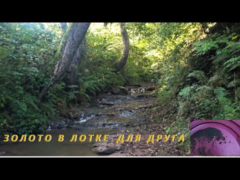 Видео: Золото В лотке Для Друга!