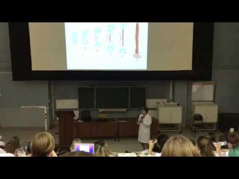 Видео: Гистология. Скелетные Соединительные Ткани (Ч3)