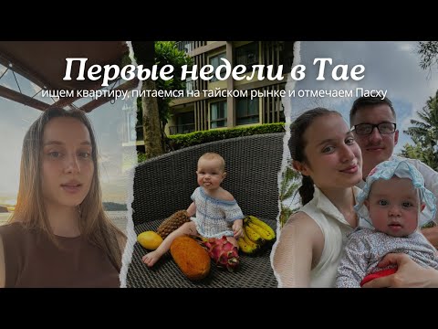 Видео: VLOG: Будни в Таиланде с 👶. Ищем квартиру, пробуем тайскую еду и просто живем