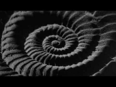 Видео: ЖЛЪЧ / ГРИГОВОР / ГЕНА - ЗАРОДИШ (visualiser)