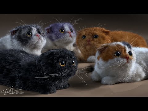 Видео: 🐱СМЕШНО!