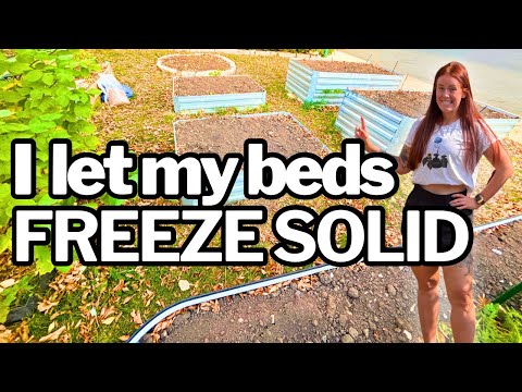 Видео: Почему я прекращаю защищать почву перед зимой (и вам, возможно, захочется сделать то же самое)