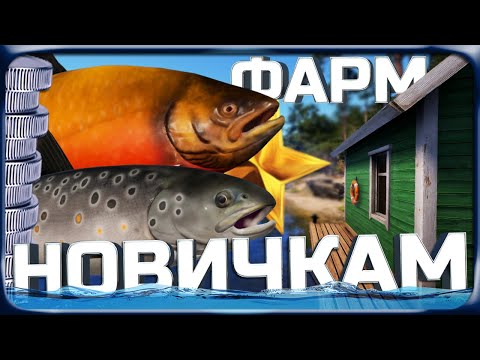 Видео: РР4 ОТЛИЧНЫЙ ФАРМ ДЛЯ НОВИЧКОВ И ПРОКАЧКА СПИНИНГА НА КУОРИ!