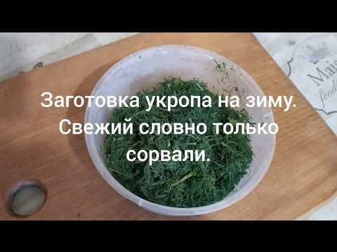 Видео: Заготовка укропа на зиму. Свежий вкус, словно только сорвали!