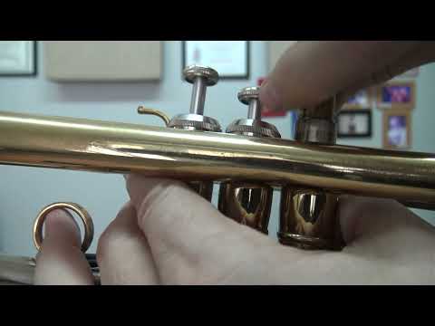Видео: Обзор китайской трубы Bestler trumpet review