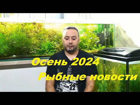 Видео: Осень 2024. Рыбные новости