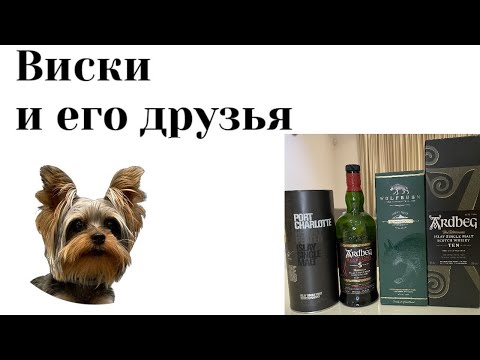 Видео: Ardbeg 5 - 10 - Wolfburn Morven - Port Charlotte 10, кто будет победителем? Бой дыма: Серия 38