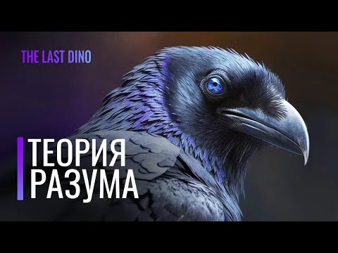 Видео: Биология самых умных птиц на планете  Чувство юмора и разум у Врановых