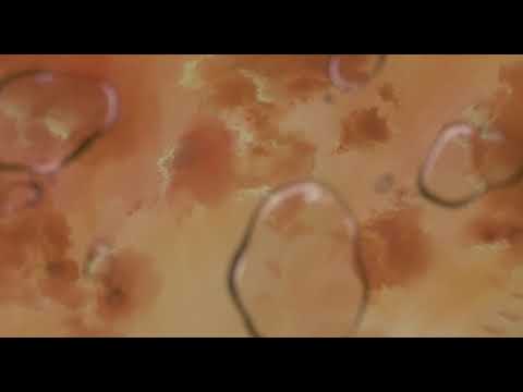 Видео: Смысловые Галлюцинации - Вечно молодой (slowed + reverb)