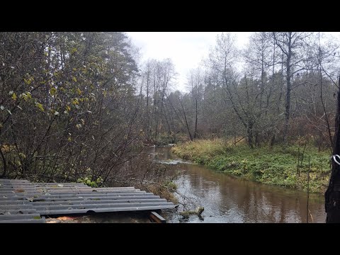 Видео: Осенний поход вдоль  Ислочи на Волму
