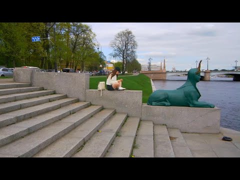 Видео: Санкт-Петербург.Каменноостровский проспект.