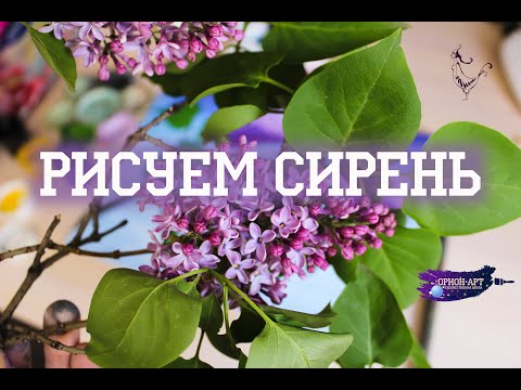 Видео: Лёгкий способ нарисовать сирень гуашью (видеоурок)