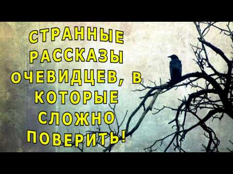 Видео: "Я видел это!" Мистические истории.