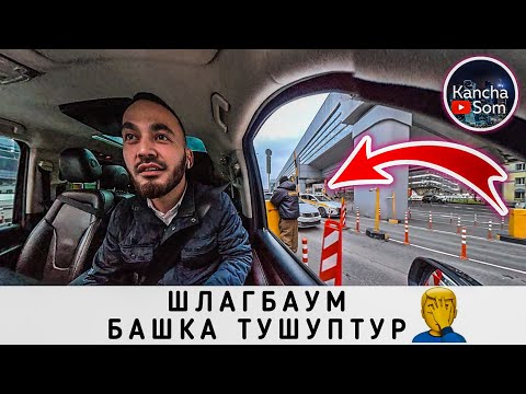 Видео: Шлагбаум устуно тушуп кетиптир🫣