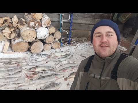 Видео: ПЕРВАЯ РЫБАЛКА В 2025 ГОДУ. ЗАЛИВ СИСИМ. 3 ЧАСТЬ.