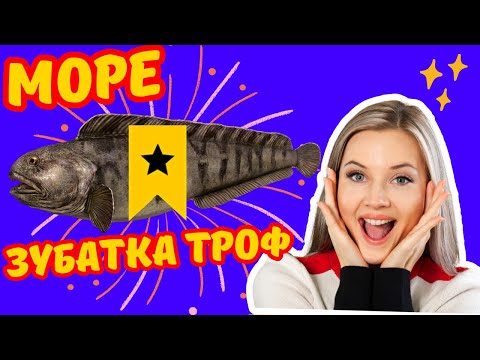 Видео: ДОННАЯ МОРСКАЯ ОСНАСТКА С ГРЕМЯЩИМ ГРУЗОМ 🎁 Розыгрыши Премов 🎁 СТРИМ РР4 👍 РУССКАЯ РЫБАЛКА 4 🔴 DUM_