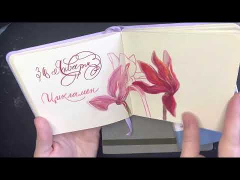 Видео: Большой обзор скетчбуков: Maxgoodz, Inkberry, Art Creation, SMLT, Moleskine, Muji и другие