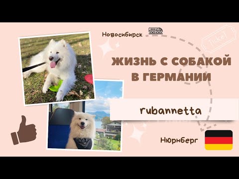 Видео: Как мы перевезли собаку в Германию? Условия содержания, цены. Поздние переселенцы.