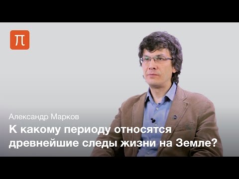 Видео: Архейская эра - Александр Марков