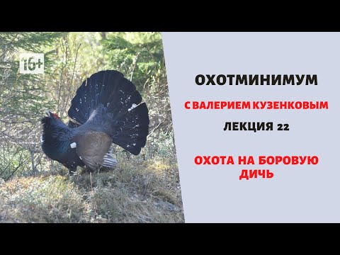 Видео: Охотминимум. Лекция 22. Охота на боровую дичь