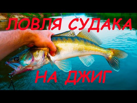 Видео: Ловля СУДАКА на ДЖИГ! Рыбалка на СПИННИНГ на реке ХОПЕР!