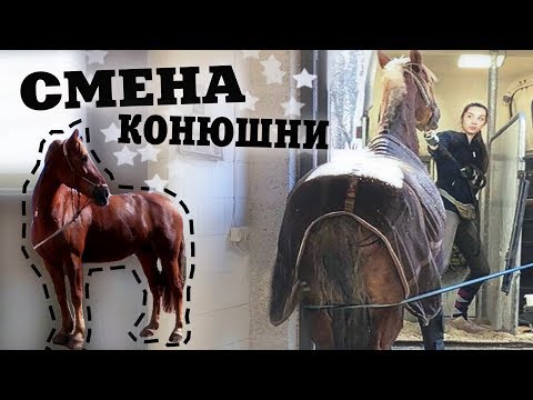 Видео: ВЛОГ: Смена конюшни | Вся моя амуниция | Обратно в поля