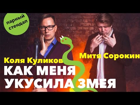 Видео: Коля Куликов и Митя Сорокин: как меня укусила змея [парный стендап]