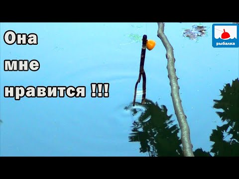 Видео: Третьи сутки рыбалка на щуку с ночёвкой в рыбацкой землянке! Эта снасть мне нравится! 3 серия