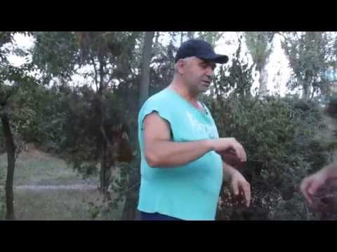 Видео: Вин Чун. Сиу Лим Тао 1 (применение).