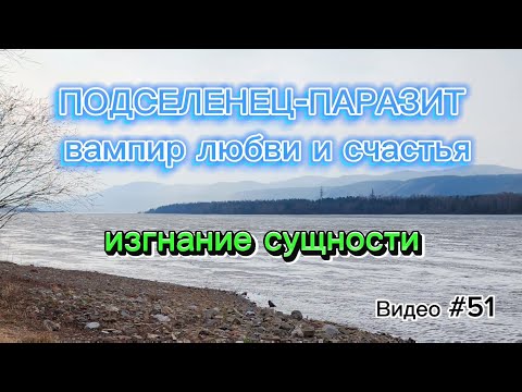 Видео: Как очиститься от подселенца-паразита, жрущего любовь и счастье! Изгнание сущности.